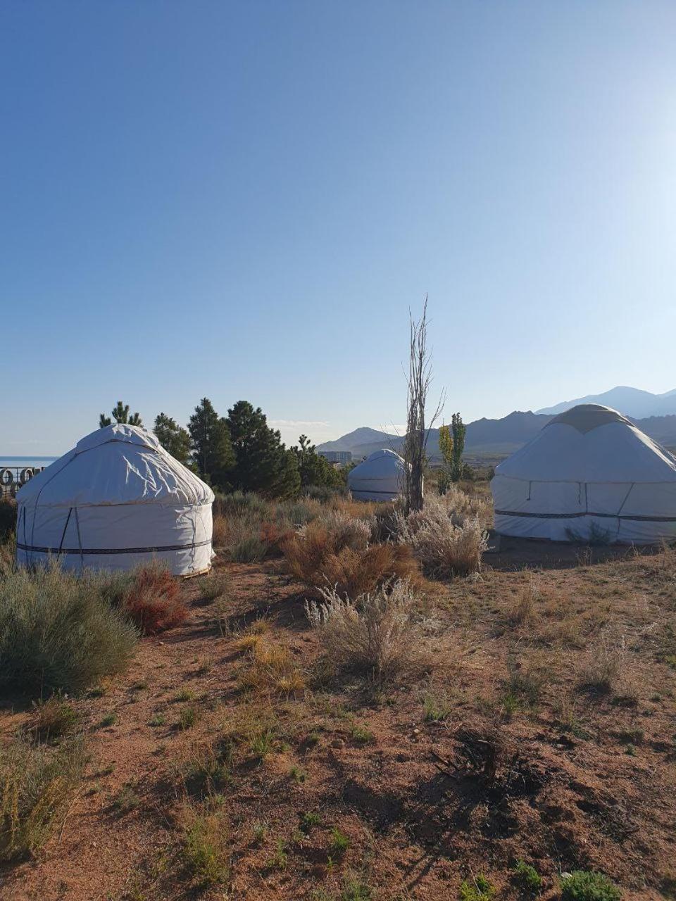 Bed and Breakfast Agat Yurt Camp Kaji-Say Exterior foto